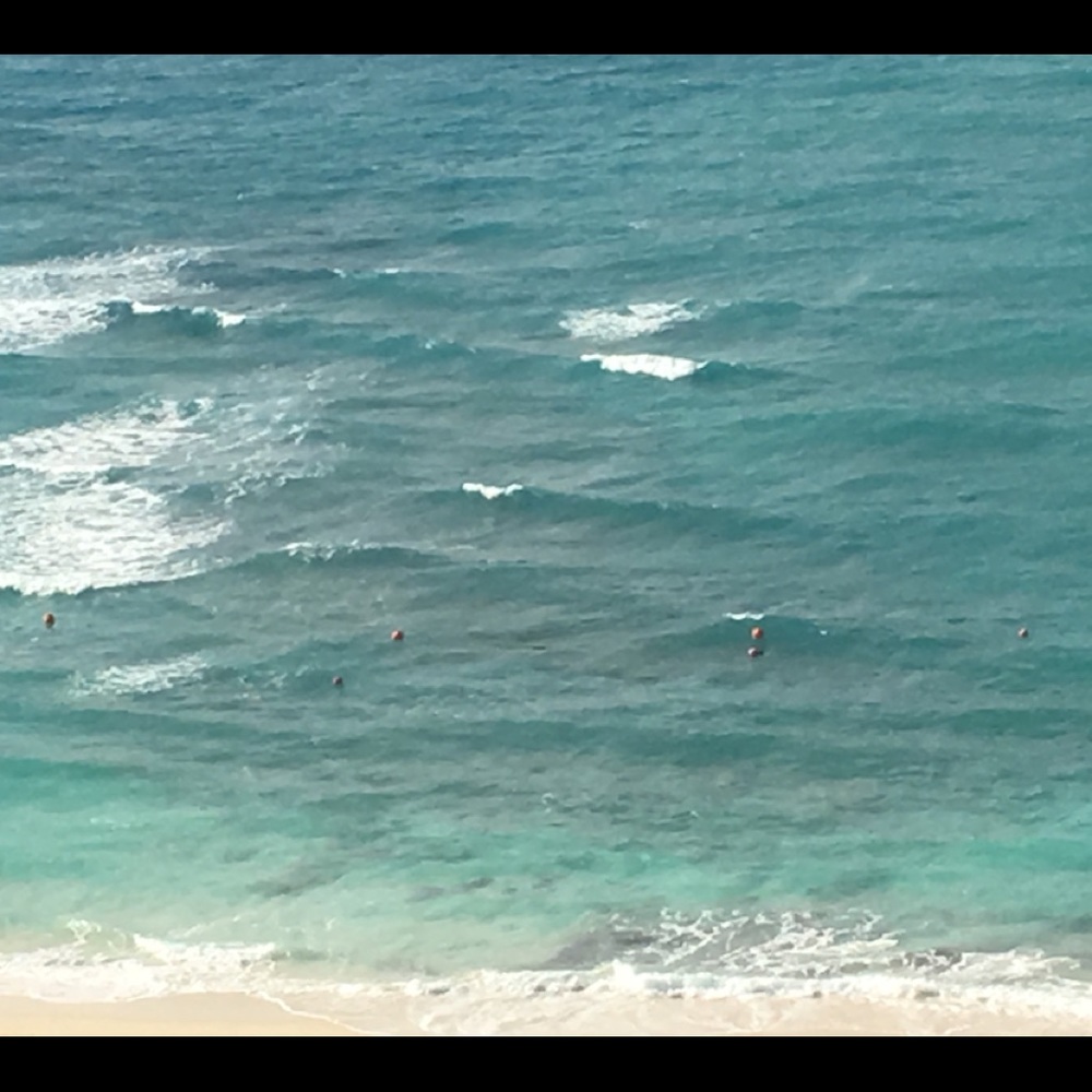 Meet your Posher, Cat